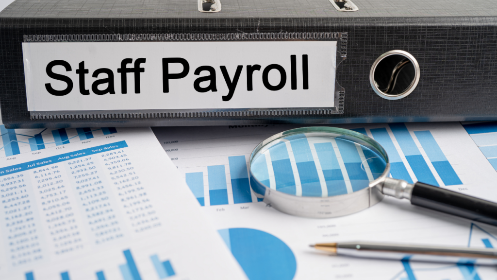 How HR Consultants Can Offer Payroll Without Hiring More Staff 1 image, payroll for HR consultants